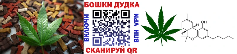 купить наркотик  Гатчина  МЕГА онион  Cannafood марихуана 