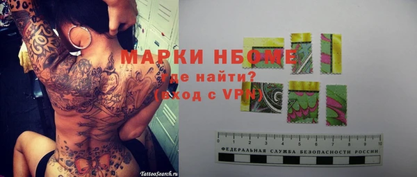 ГАЛЛЮЦИНОГЕННЫЕ ГРИБЫ Вязники