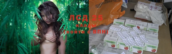 ГАЛЛЮЦИНОГЕННЫЕ ГРИБЫ Вязники