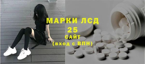 соль ск Вяземский