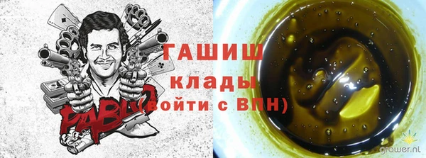 ГАЛЛЮЦИНОГЕННЫЕ ГРИБЫ Вязники