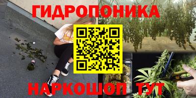 таблы Будённовск