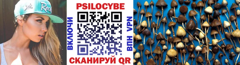 Псилоцибиновые грибы мухоморы  блэк спрут   Гатчина 