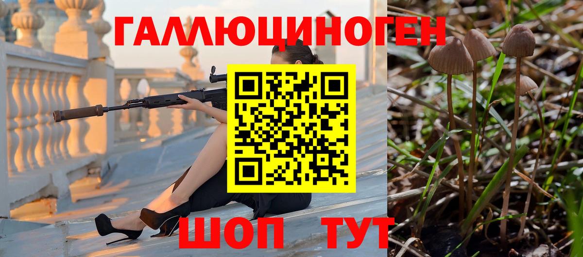Галлюциногенные грибы прущие грибы  Вход с VPN  Гатчина 