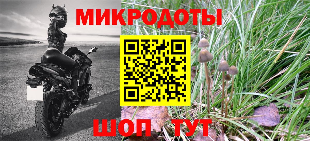 Псилоцибиновые грибы Cubensis  Гатчина  Псилоцибиновые грибы Psilocybe 