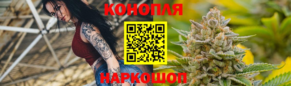 Конопля конопля  Гатчина  Канабис Bruce Banner  Канабис семена  Бошки Шишки MAZAR 